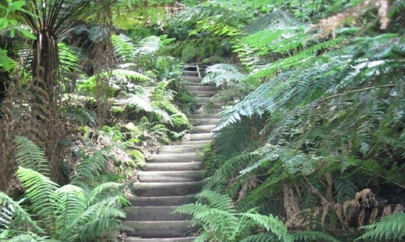Giant Stairway Australia