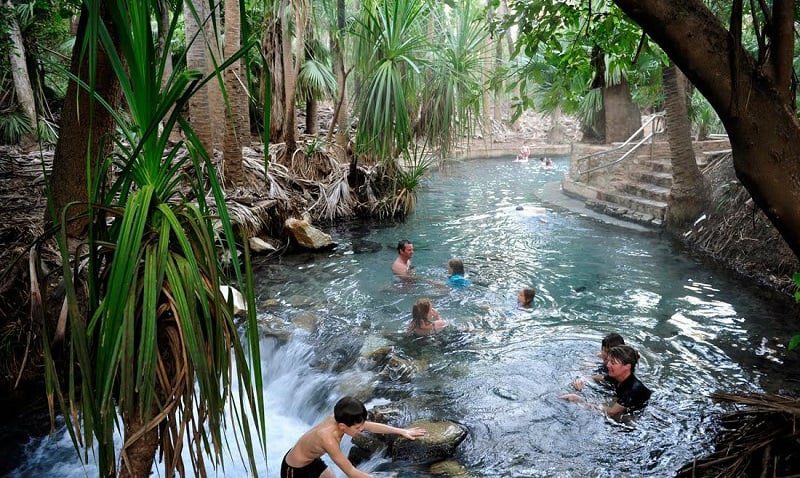 Mataranka hot springs