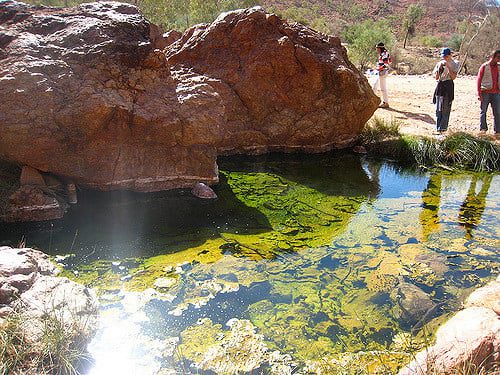 Paralana Hot Springs