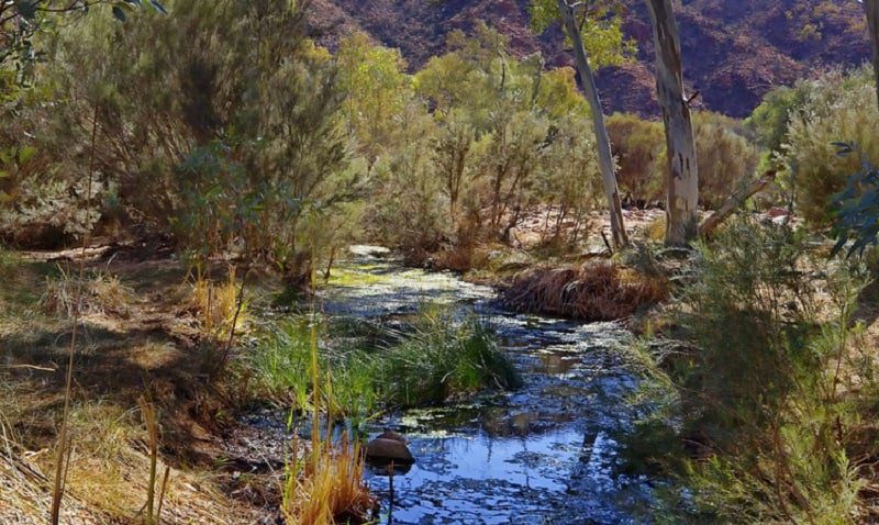 Radioactive Hot Springs