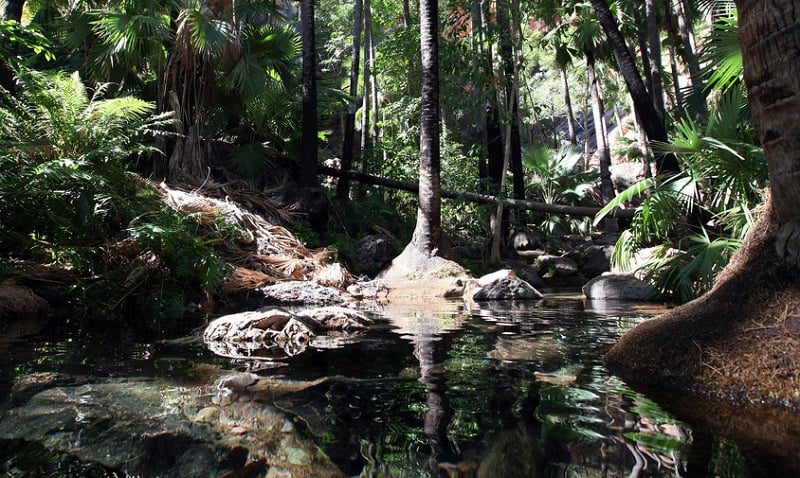 Zebedee Hot Springs