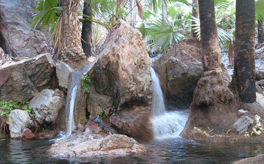 Zebedee Springs - Australia