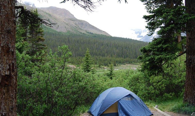 Columbia Icefield Campground