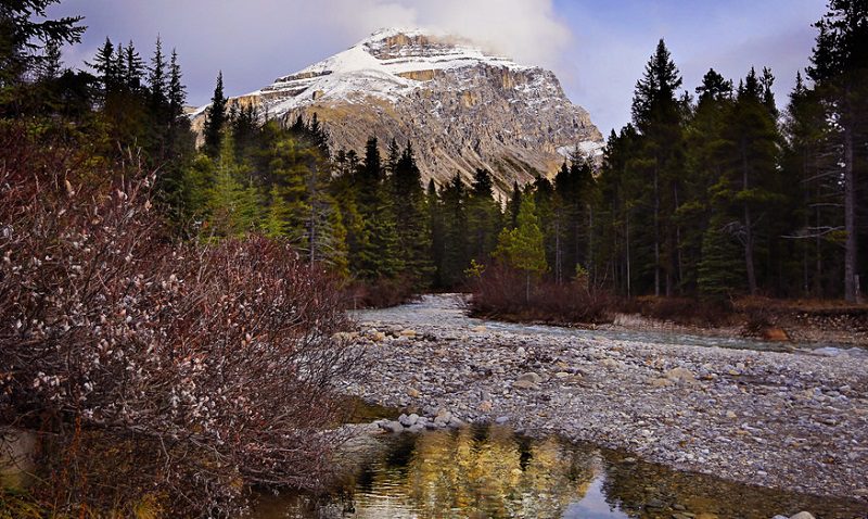 Mosquito Creek Campground