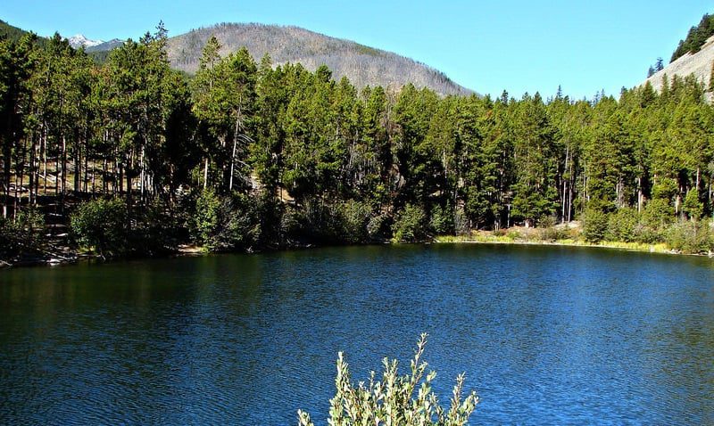 Red Lodge Lake - Wild Bill