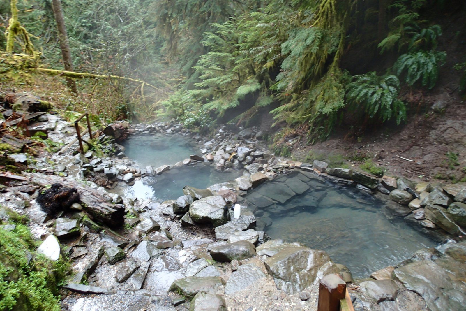 Terwilliger Hot Springs Oregon
