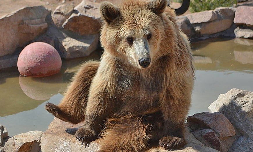 Keepers of the Wild Nature Park