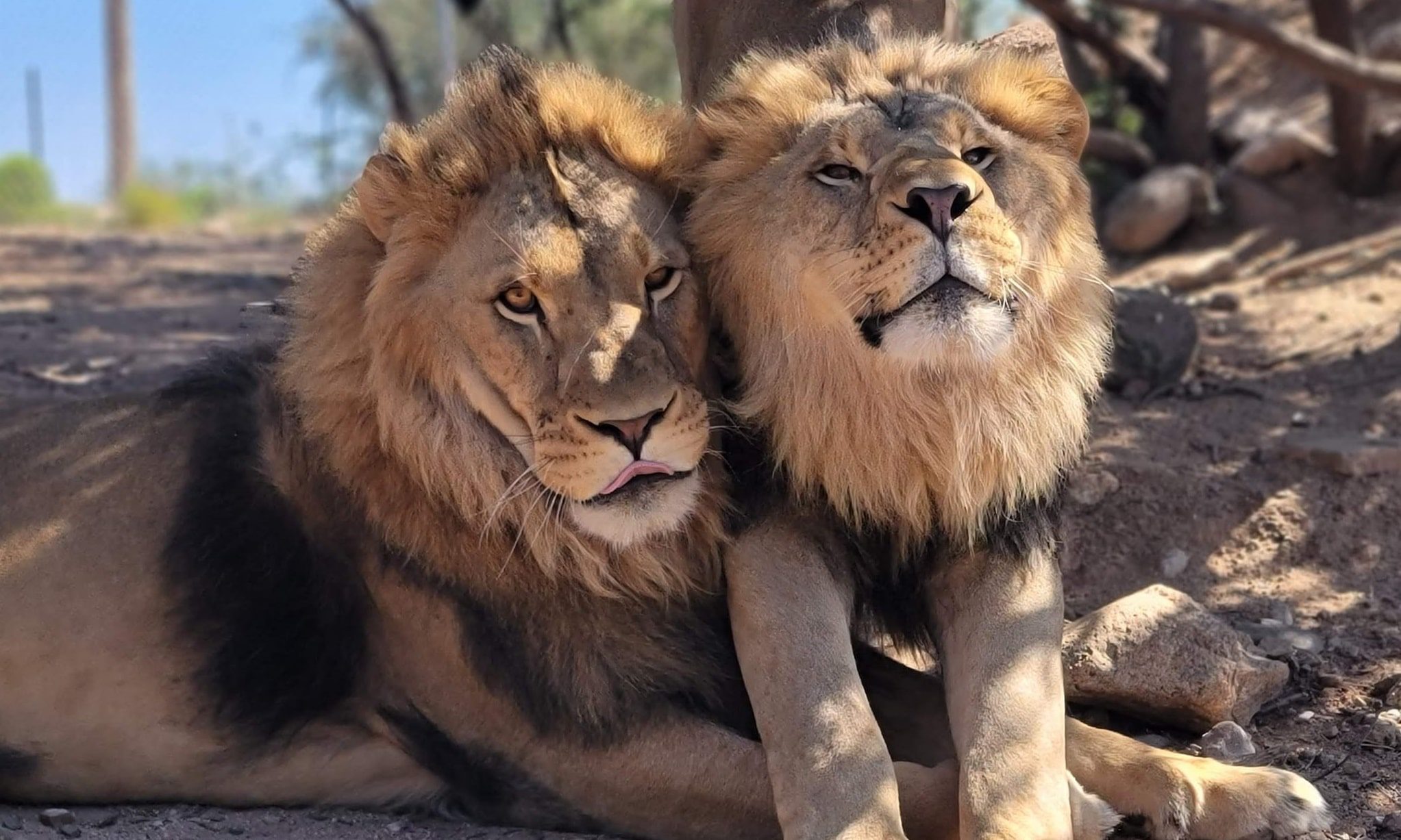 Out of Africa Wildlife Park