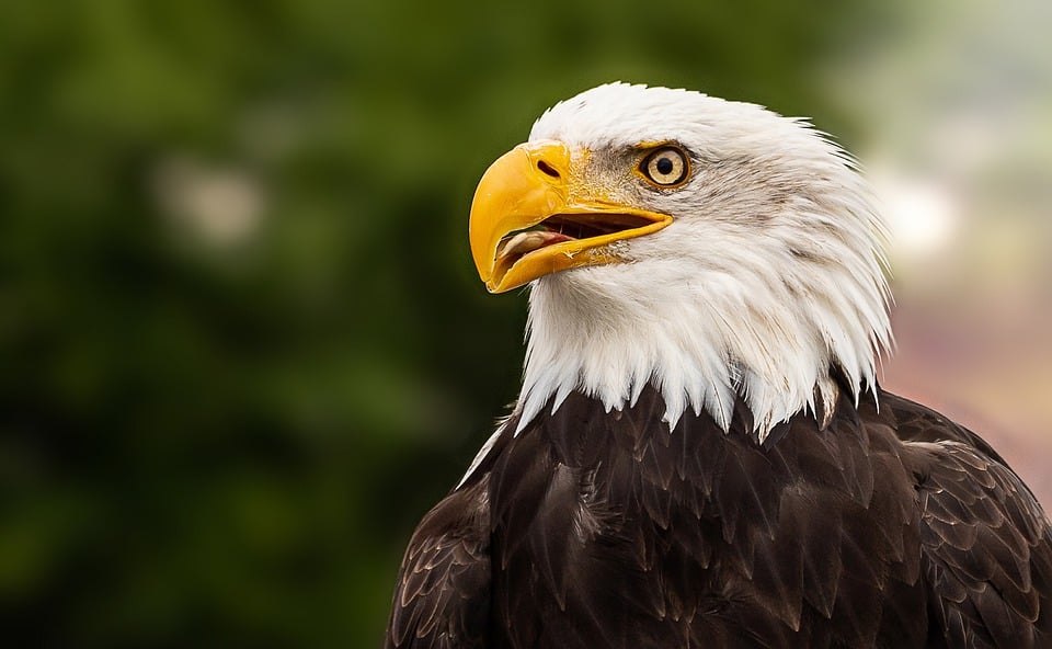 Santa Fe College Teaching Zoo