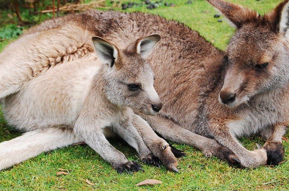 ZooWorld Zoological Park