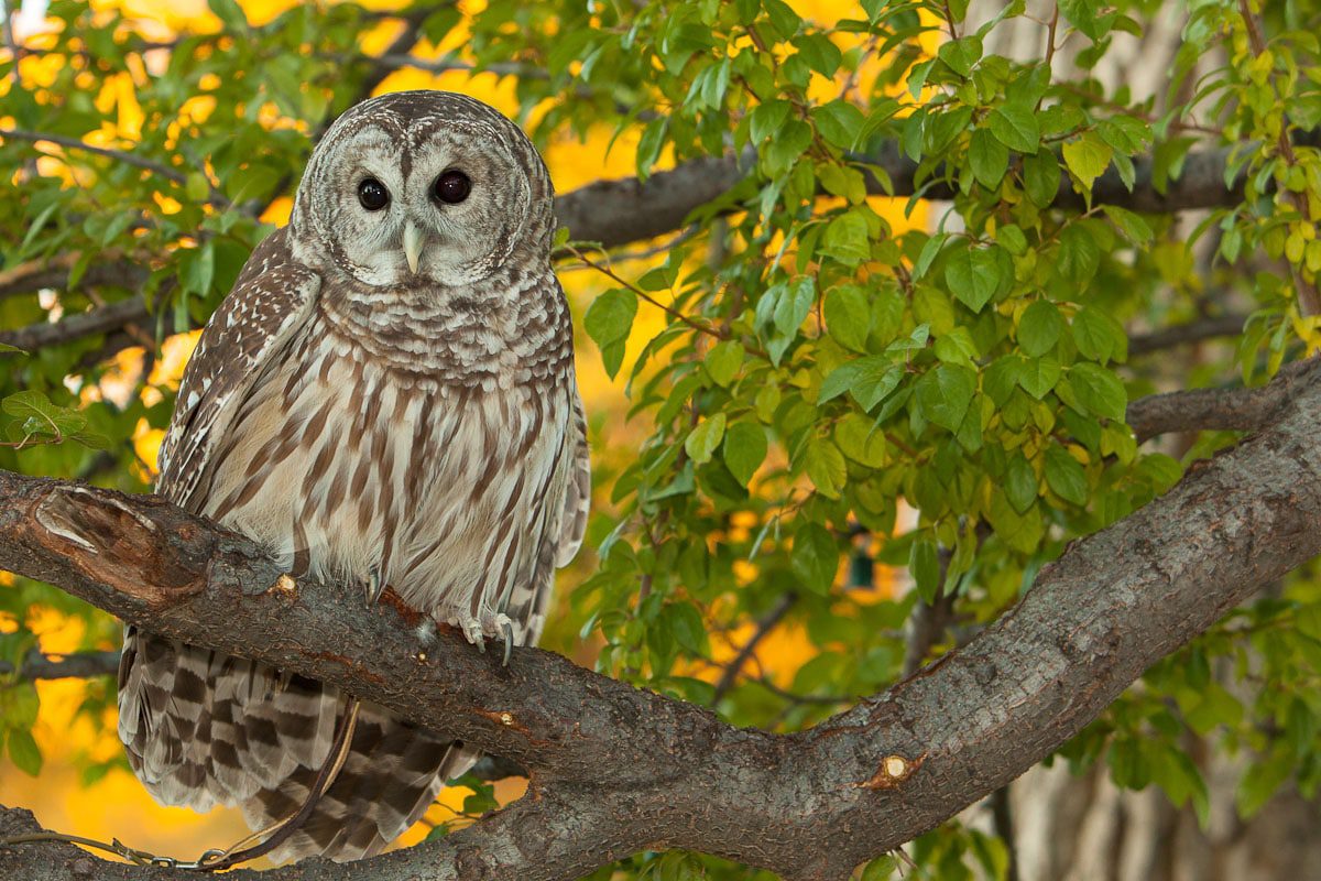 Nature and Wildlife Discovery Center