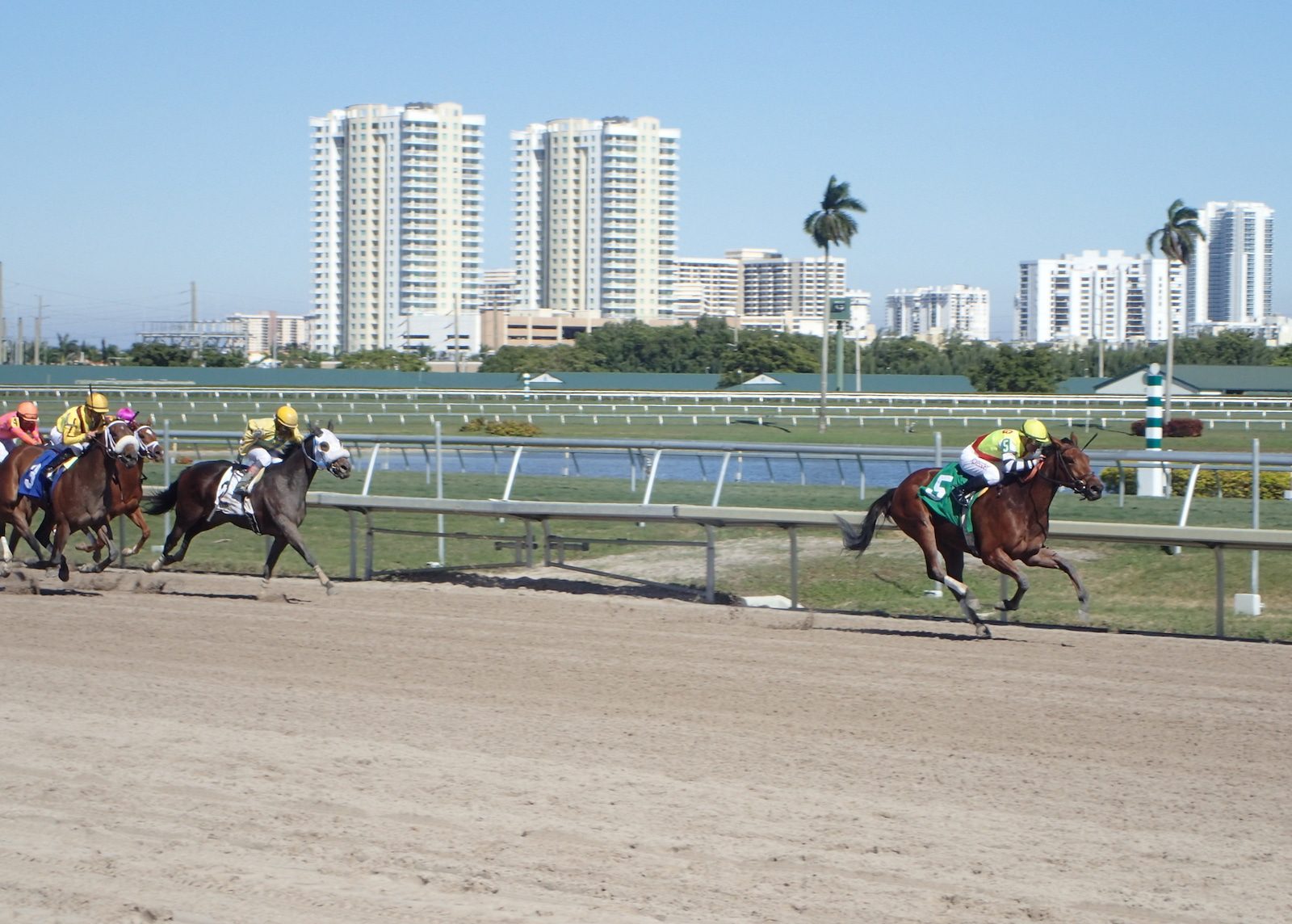 Gulfstream Park Racetrack, Florida