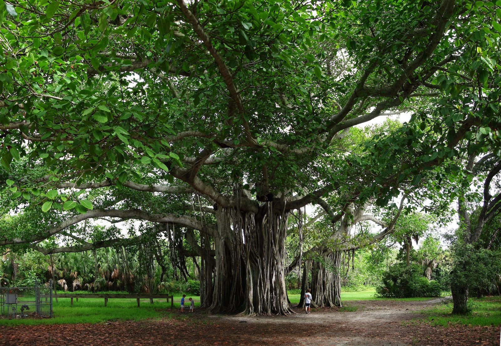 Hugh Taylor Birch State Park, Florida