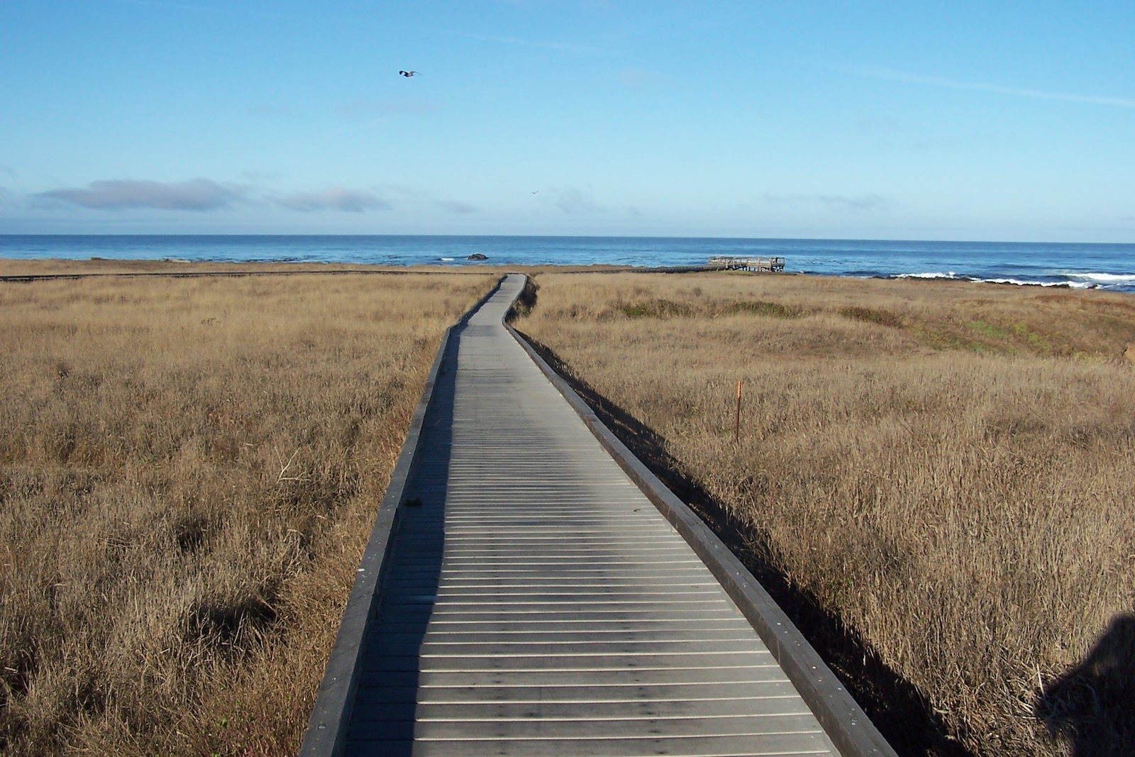 MacKerricher State Park, California