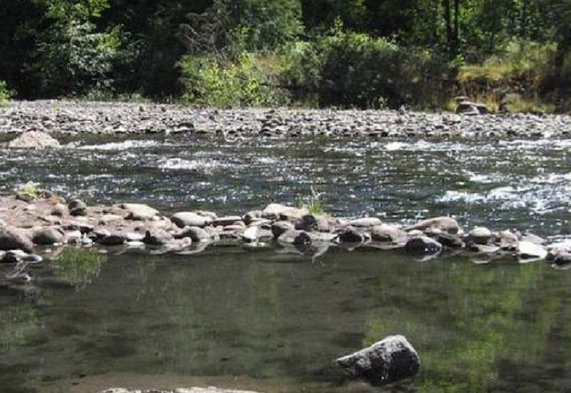 McCredie Hot Springs