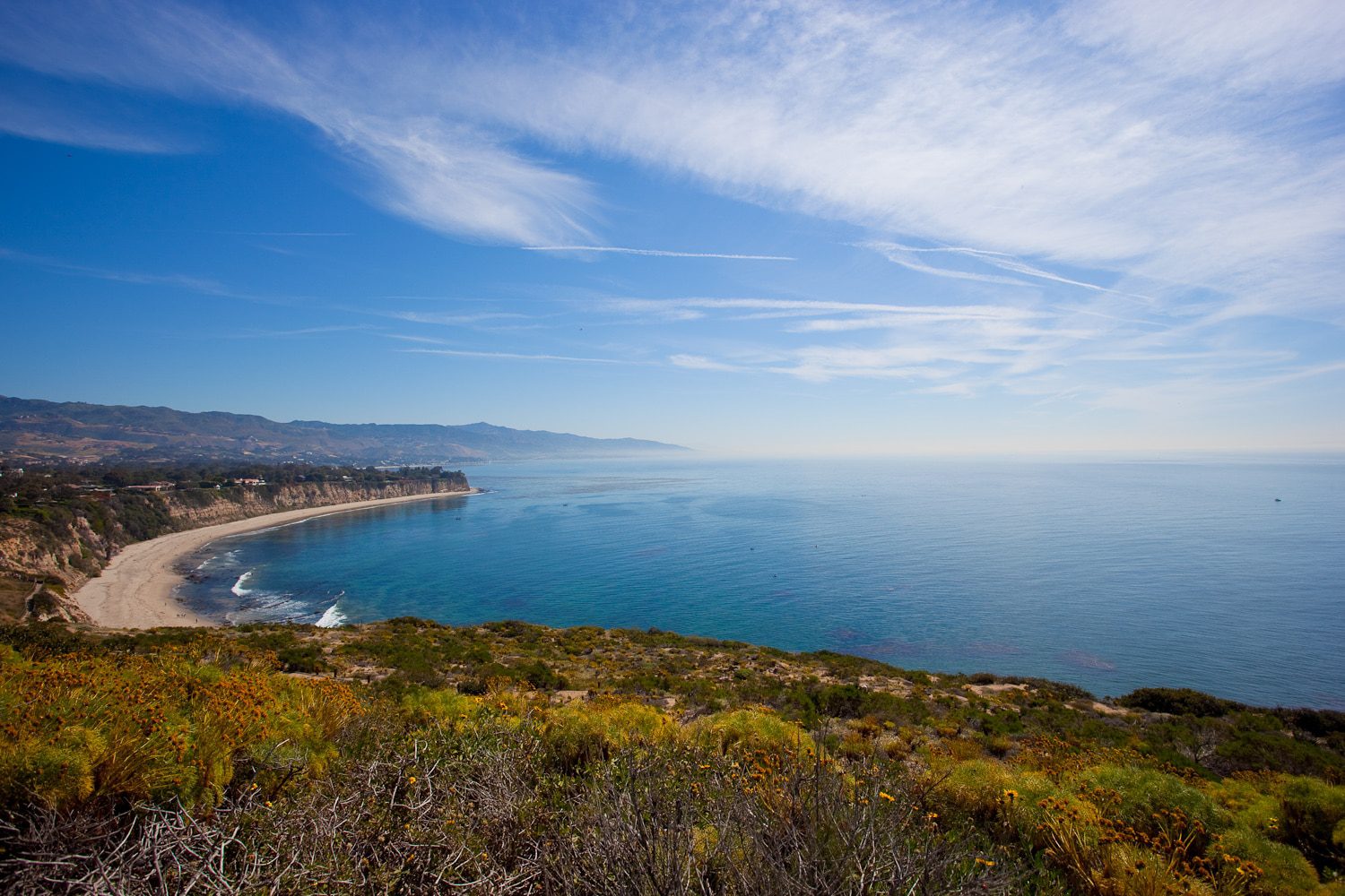 File:Dolphins, Zuma Beach, Malibu, California (13) (3125722034