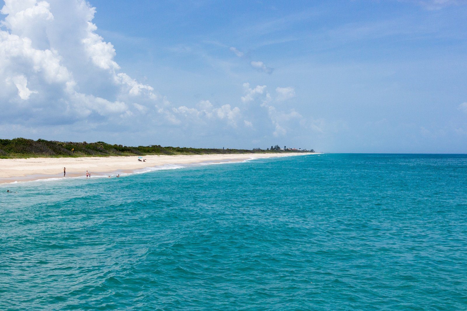 Sebastian Inlet, Florida