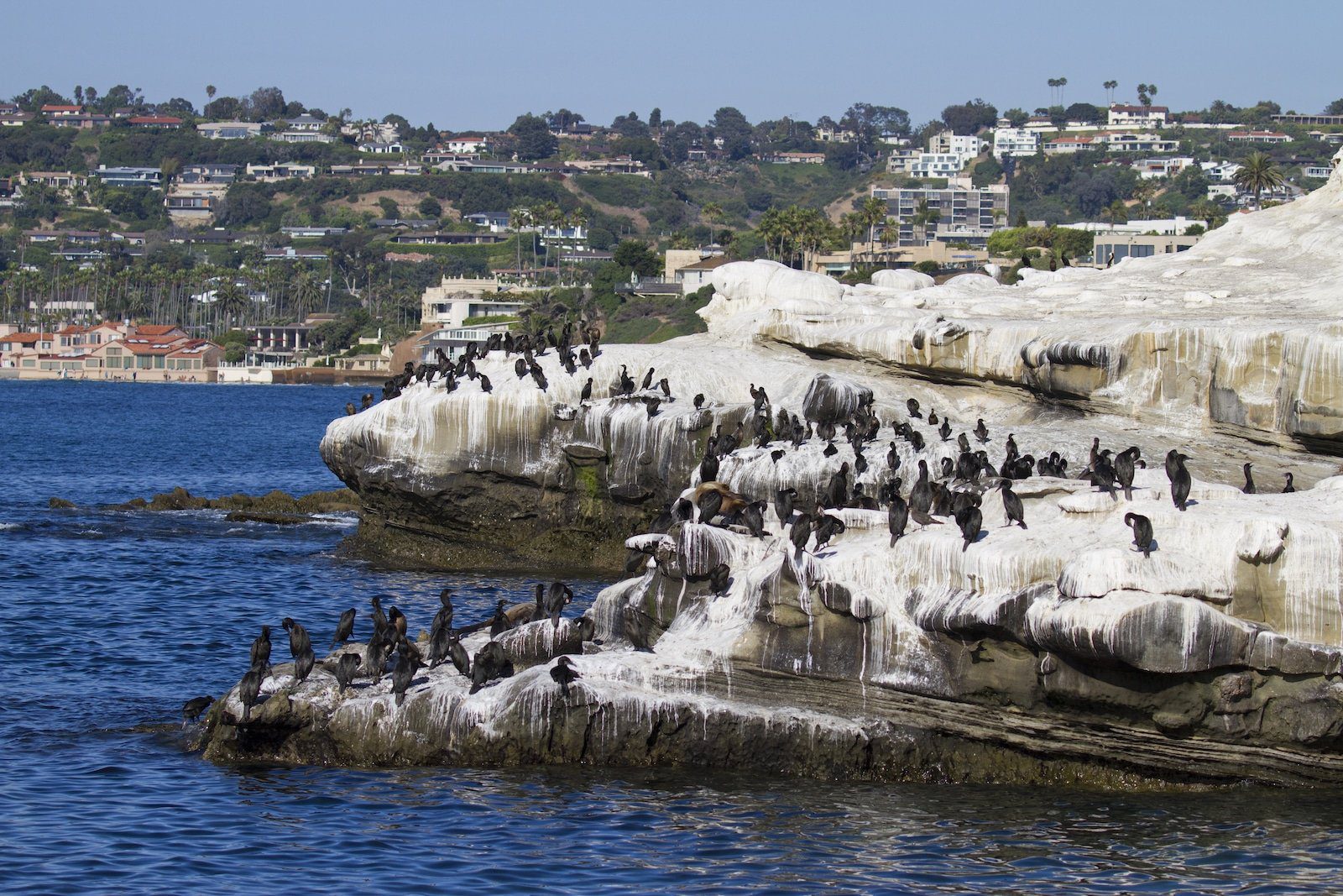 La Jolla Cove California