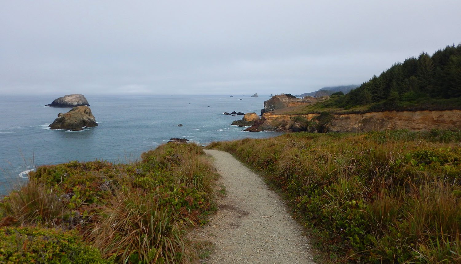 Trinidad State Beach High Bluffs Hiking Trail