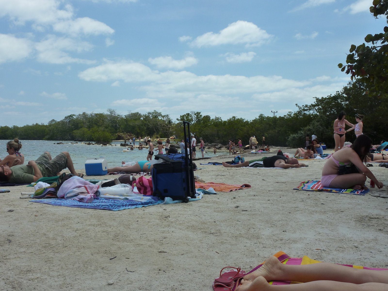Image of beachgoers at Cannon Beach, Key Largo, Florida