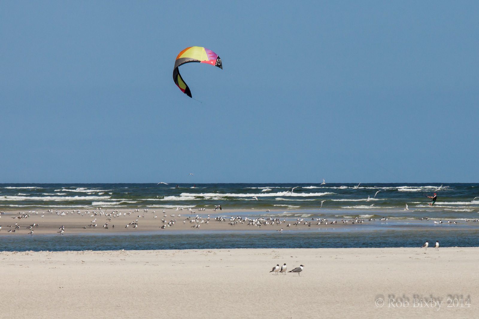 Image of a windsurfer at Huguenot Memorial Park, Florida