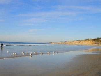 La Jolla Shores Beach, La Jolla