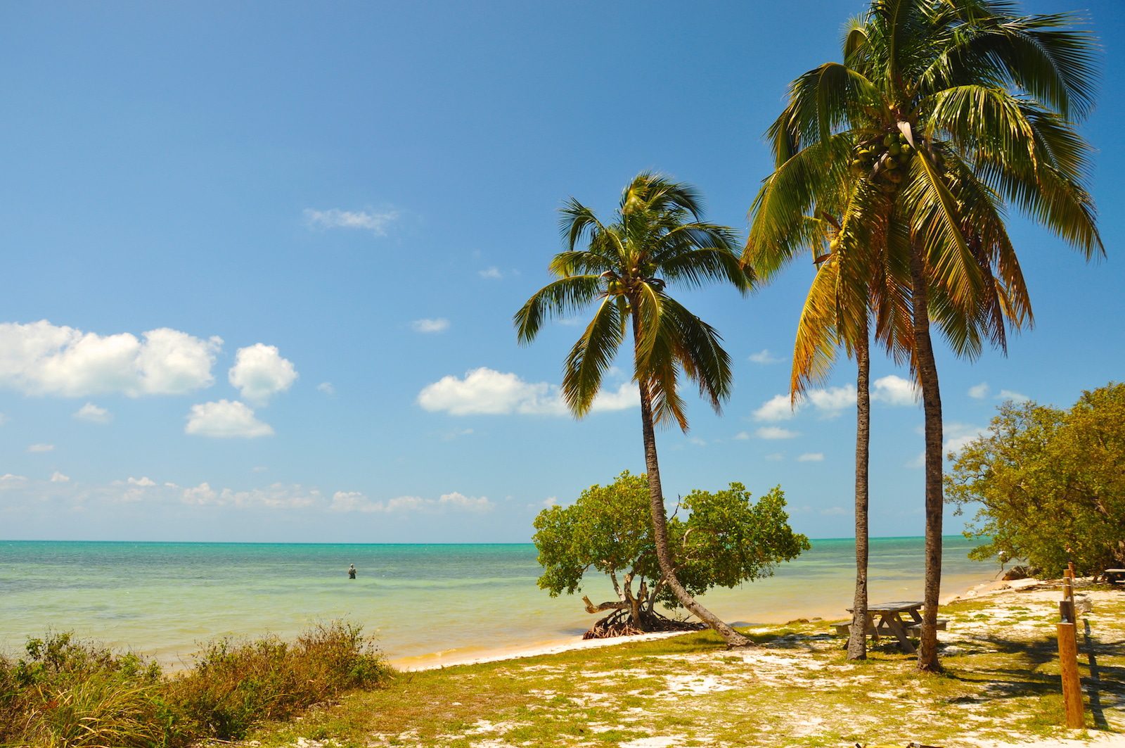 Image of Long Key State Park, Florida