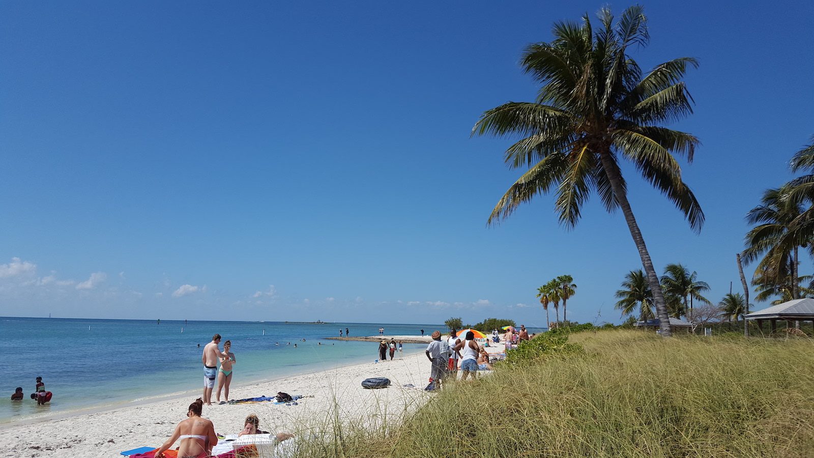 Image of visitors at Sombrero Beach, Marathon, Florida