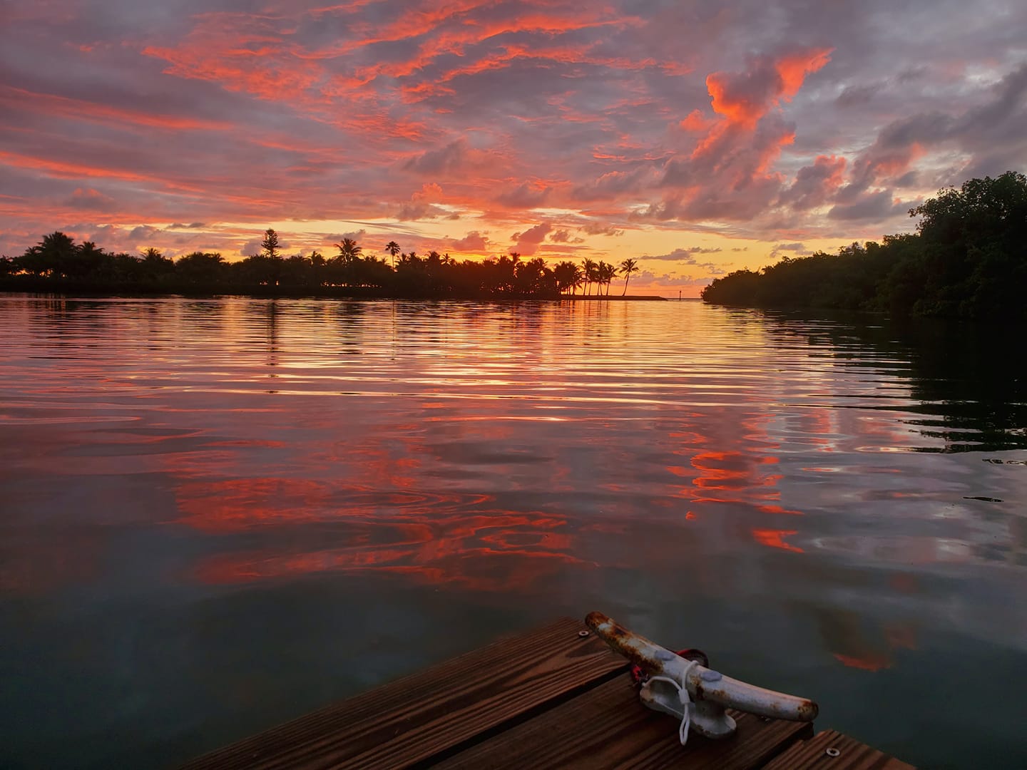 Image of curry hammock state park in the florida keys