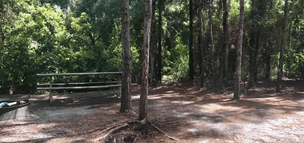 Gulf State Park Camping