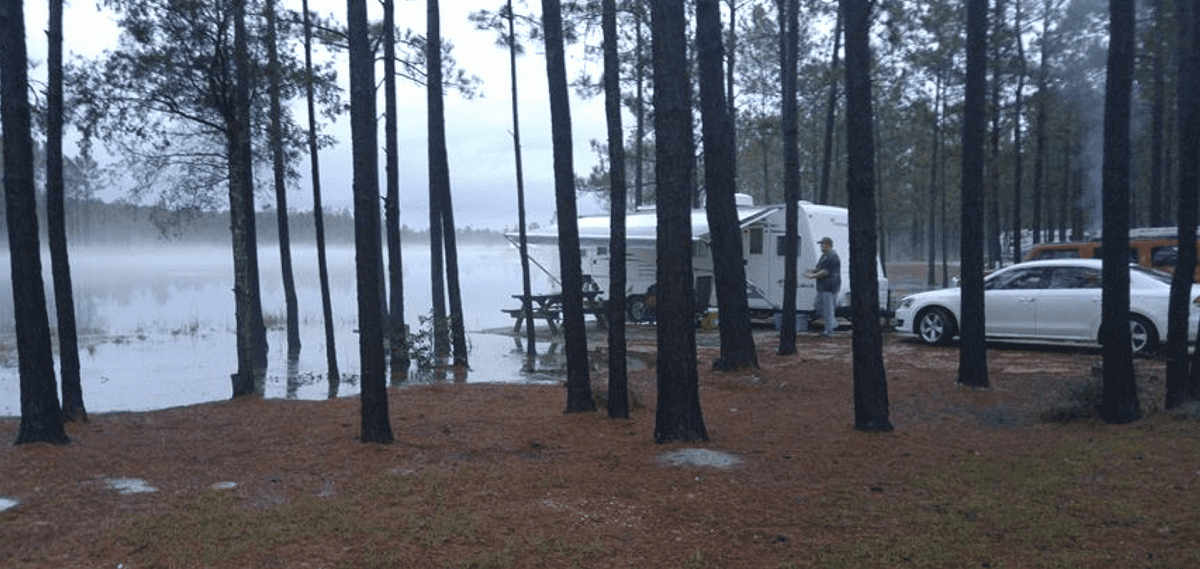 Magnolia Branch Wildlife Preserve Camping