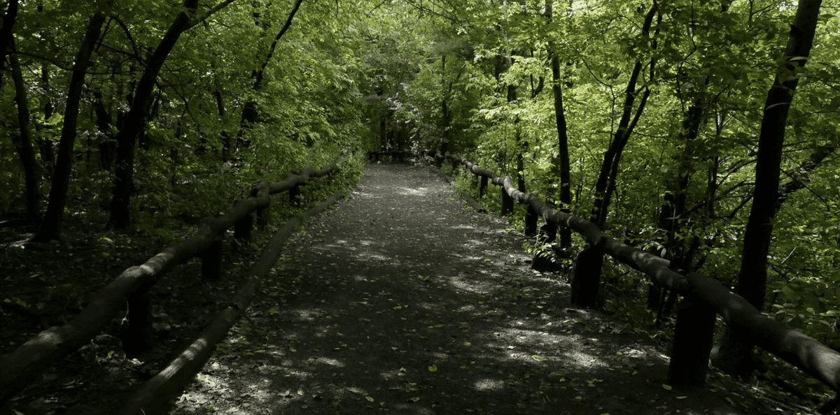 Manhattan Central Park Trail