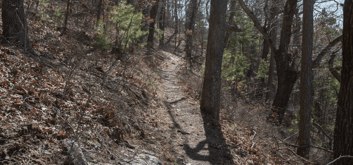 Overlook Mountain Trail