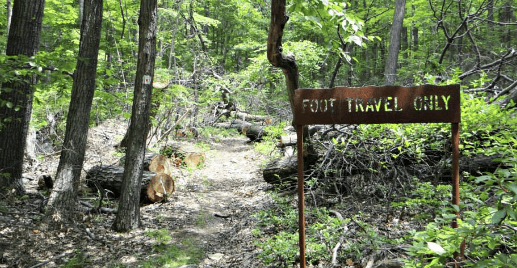 Pine Meadow Trail