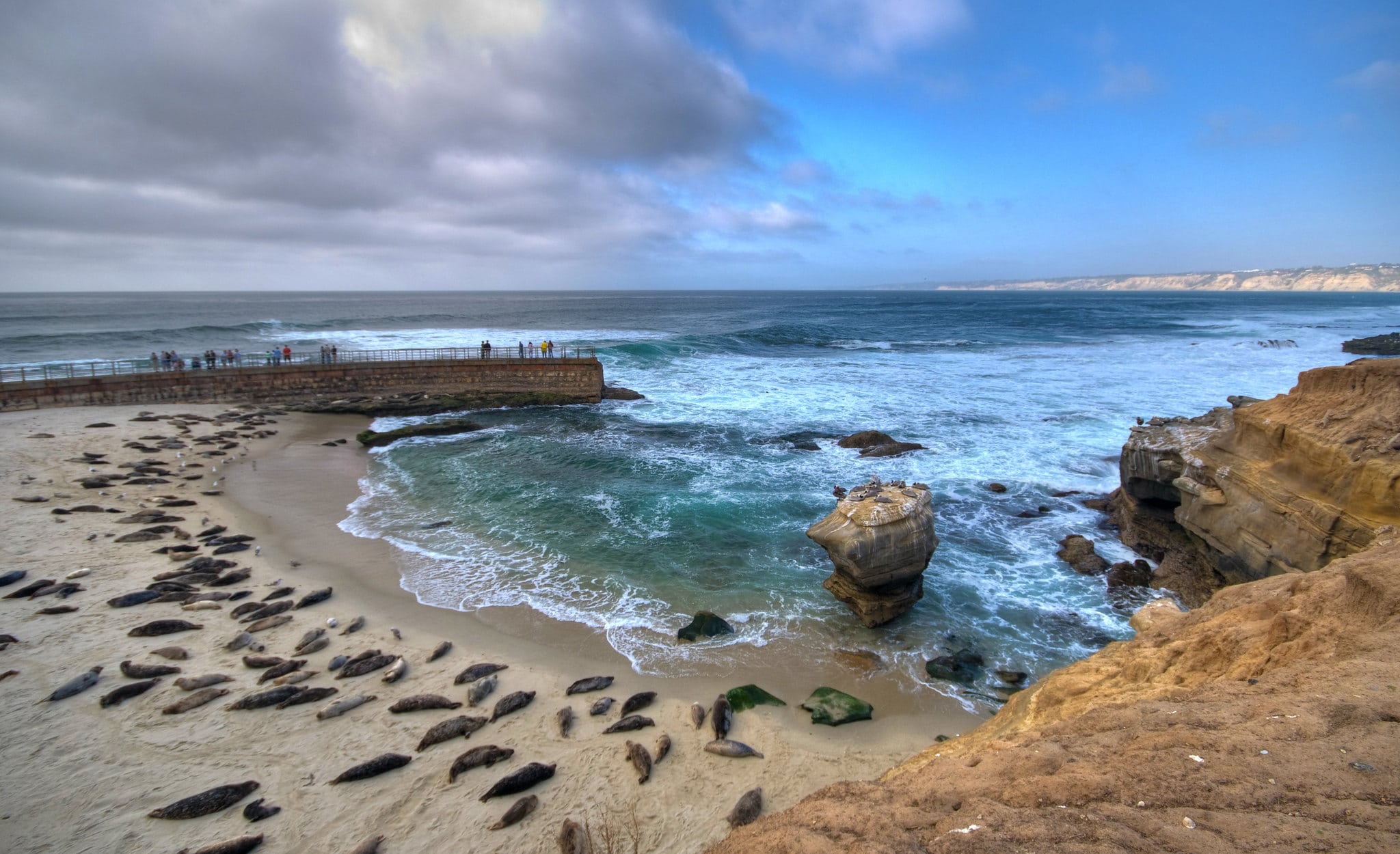 People and sea lions on a beach in La Jolla, California