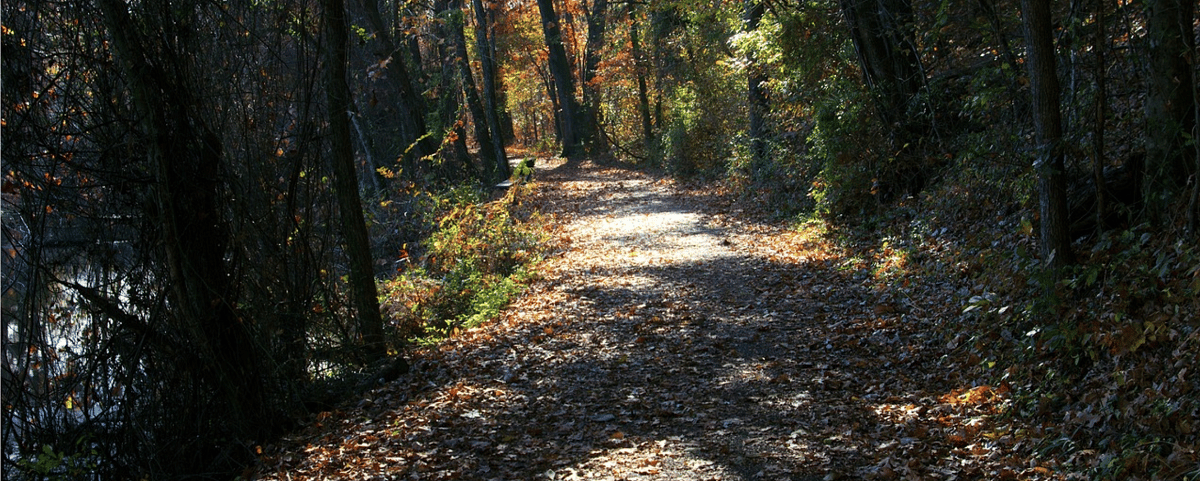 Hiking Path in Arkansas