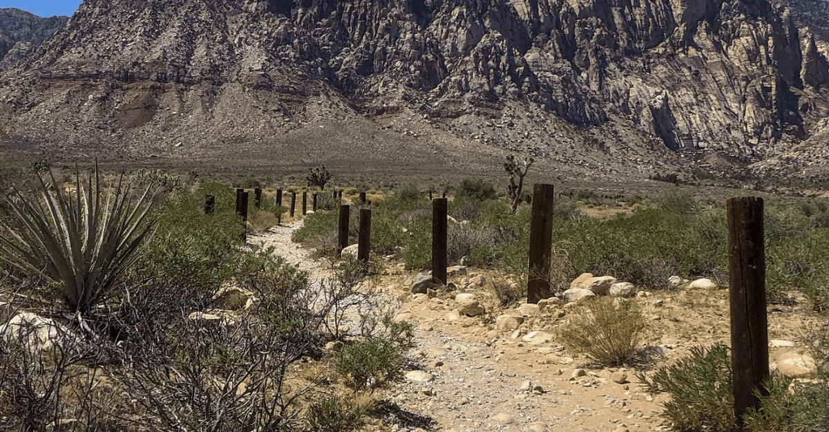 First Creek Canyon Trail