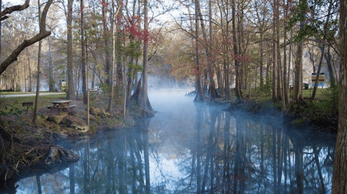 Ginnie Springs