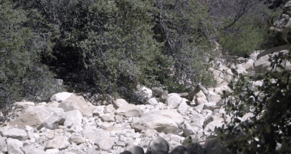 Ice Box Canyon Trail