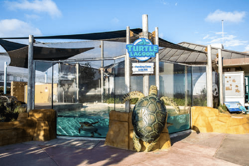 Living Coast Discovery Center