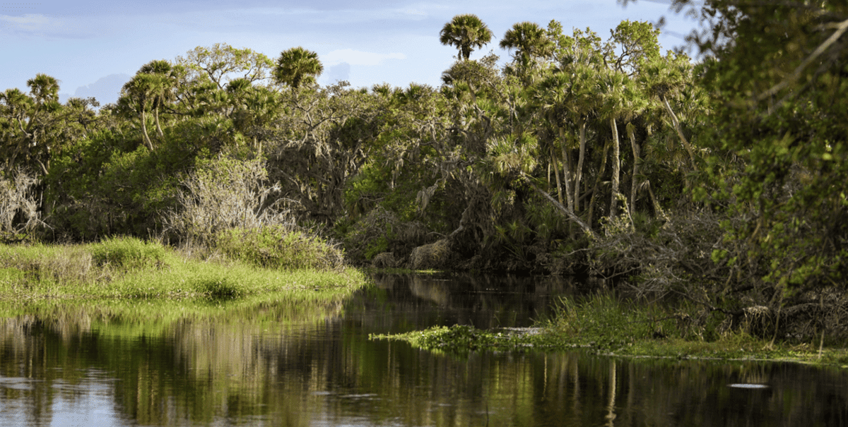 Myakka River State Park