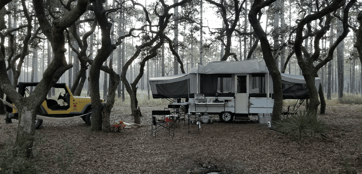 Ocala National Forest