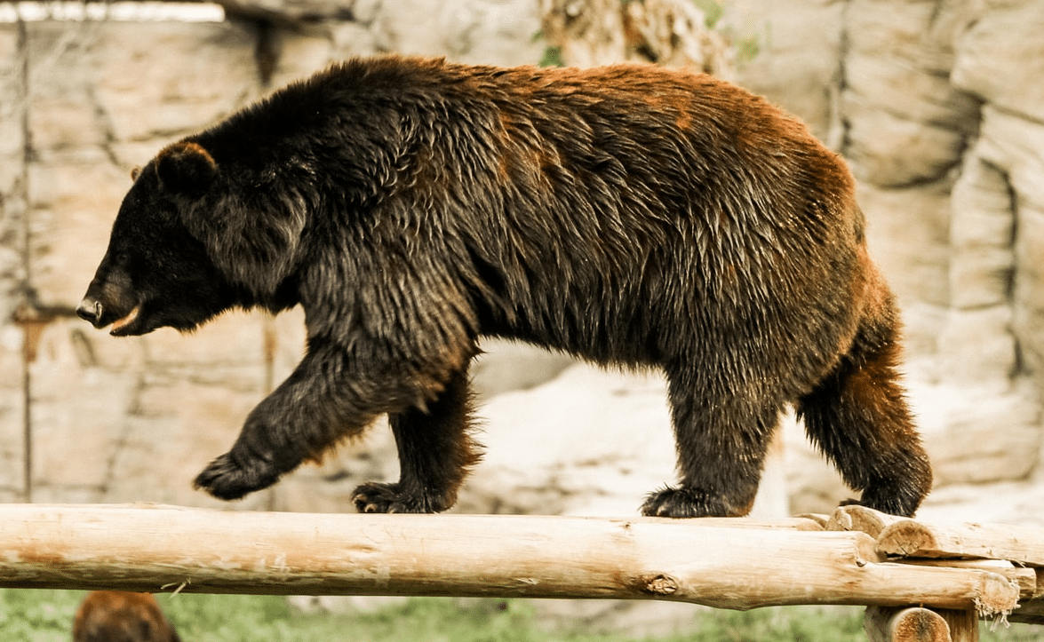 Orange County Zoo