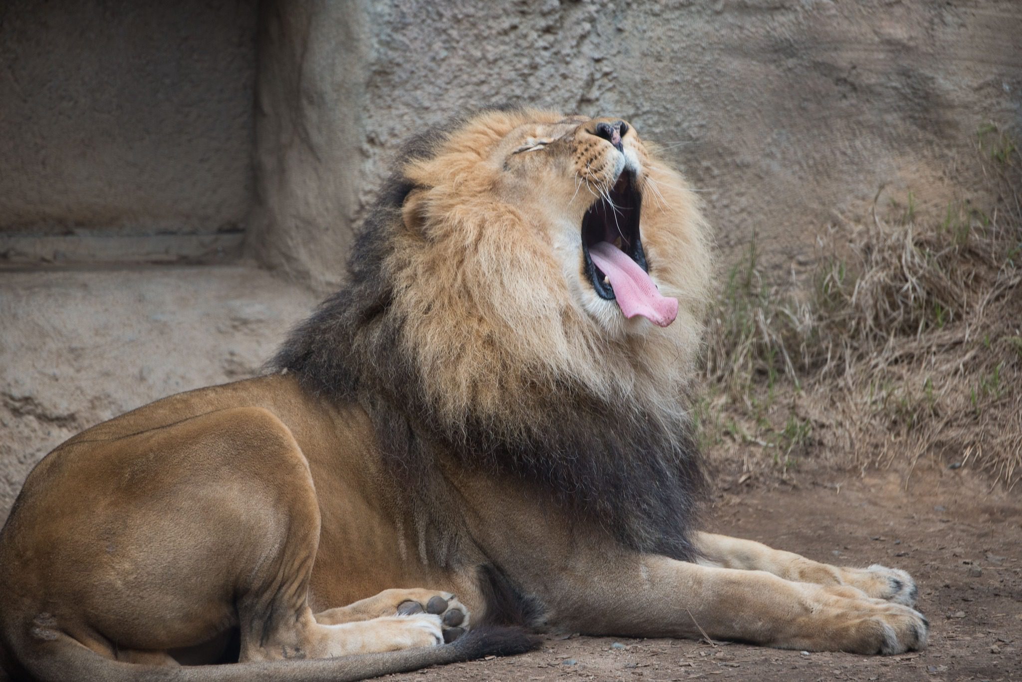 Sacramento Zoo