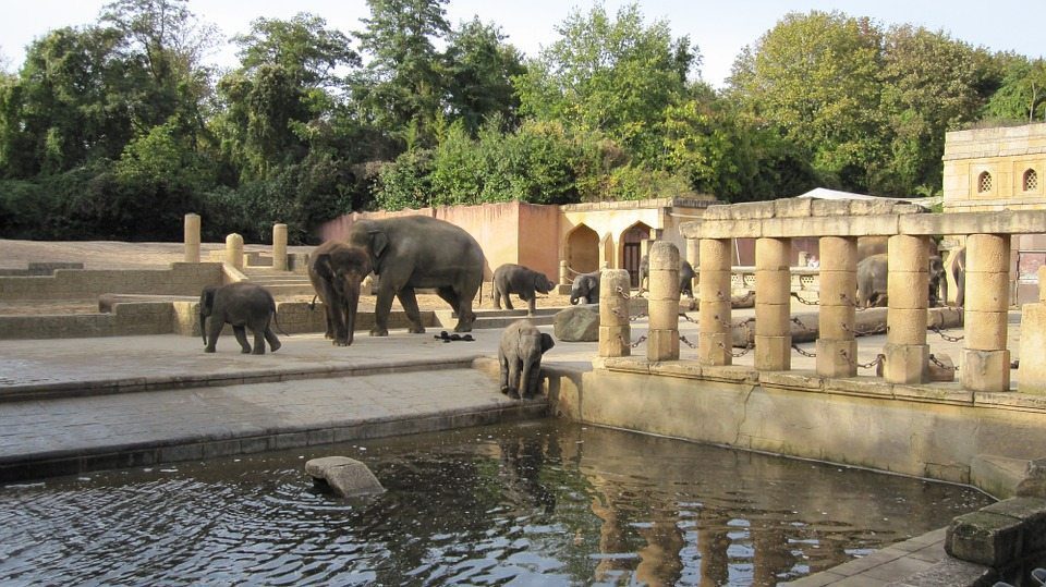 Santa Ana Zoo