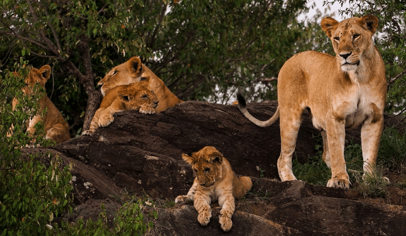 Shambala Preserve