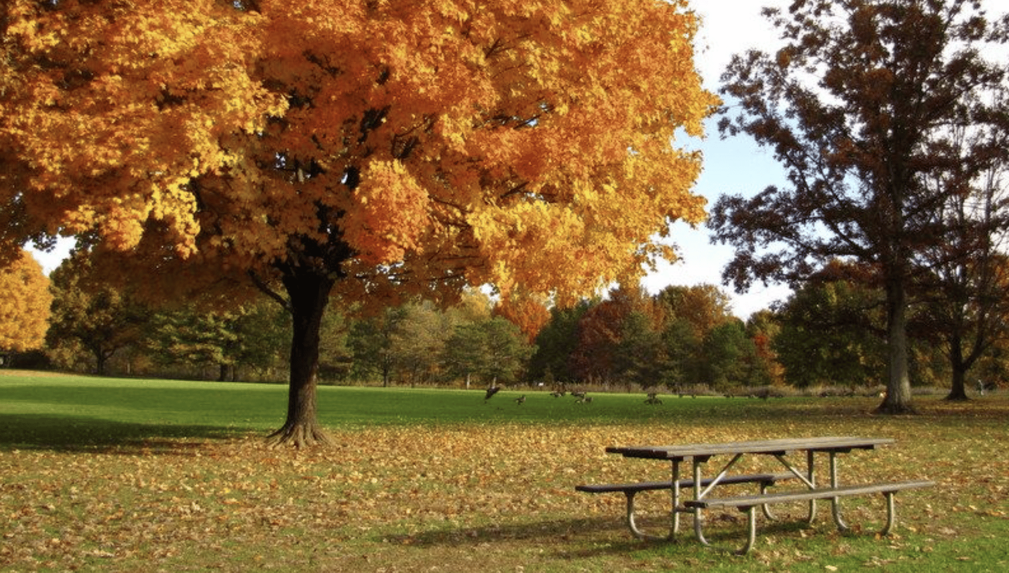 Sharon Woods Metro Park