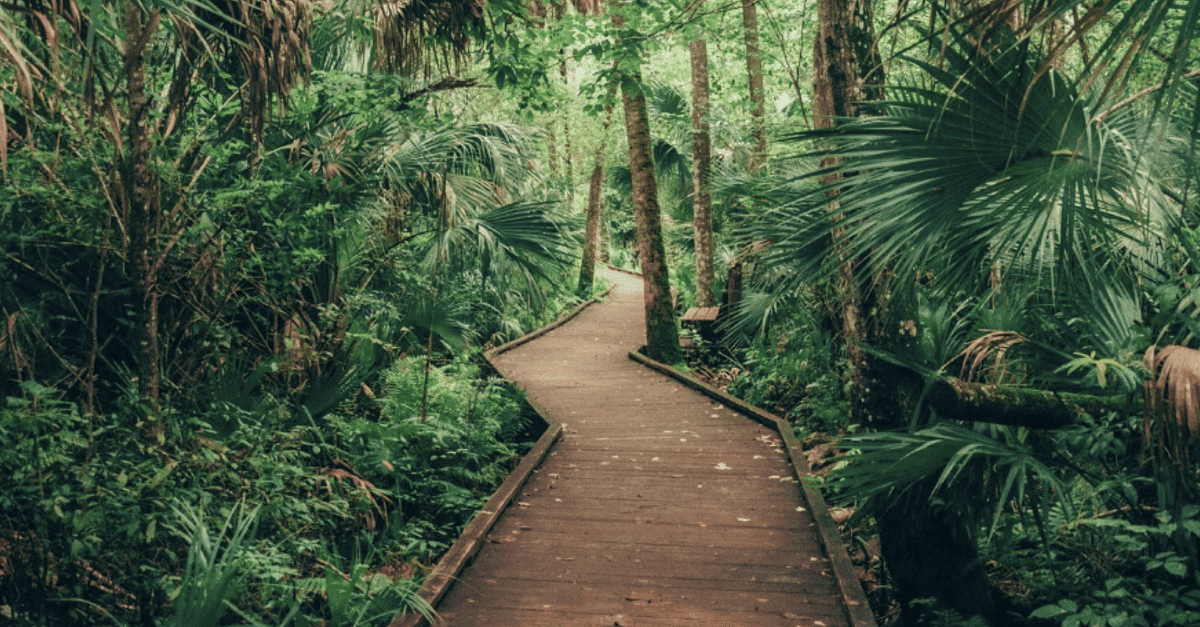 Wekiwa Springs State Park