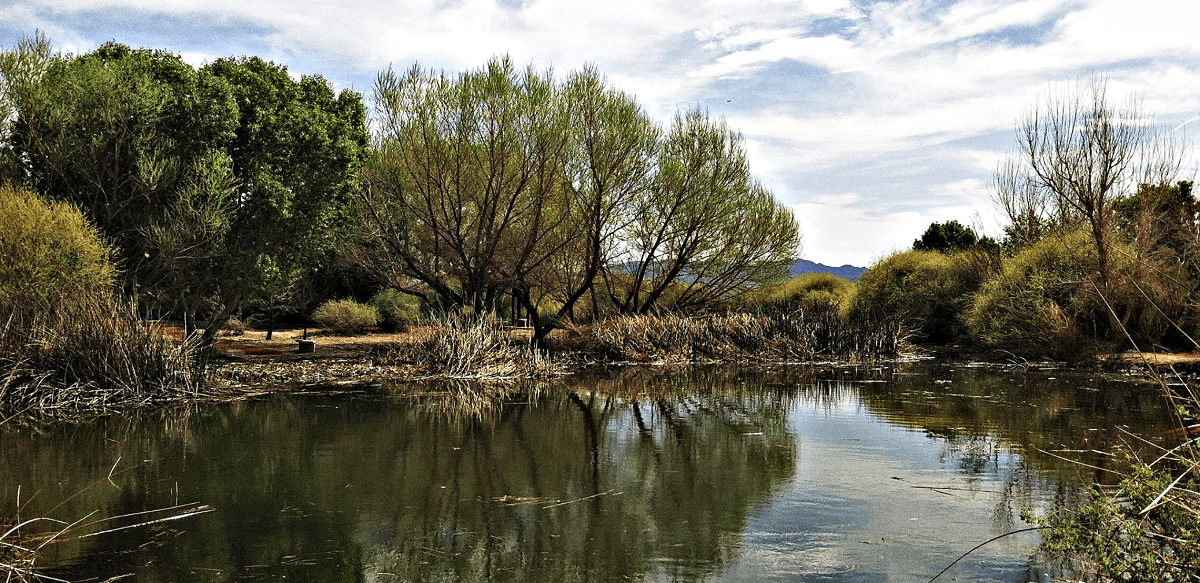 Wetlands Park Nature Preserve
