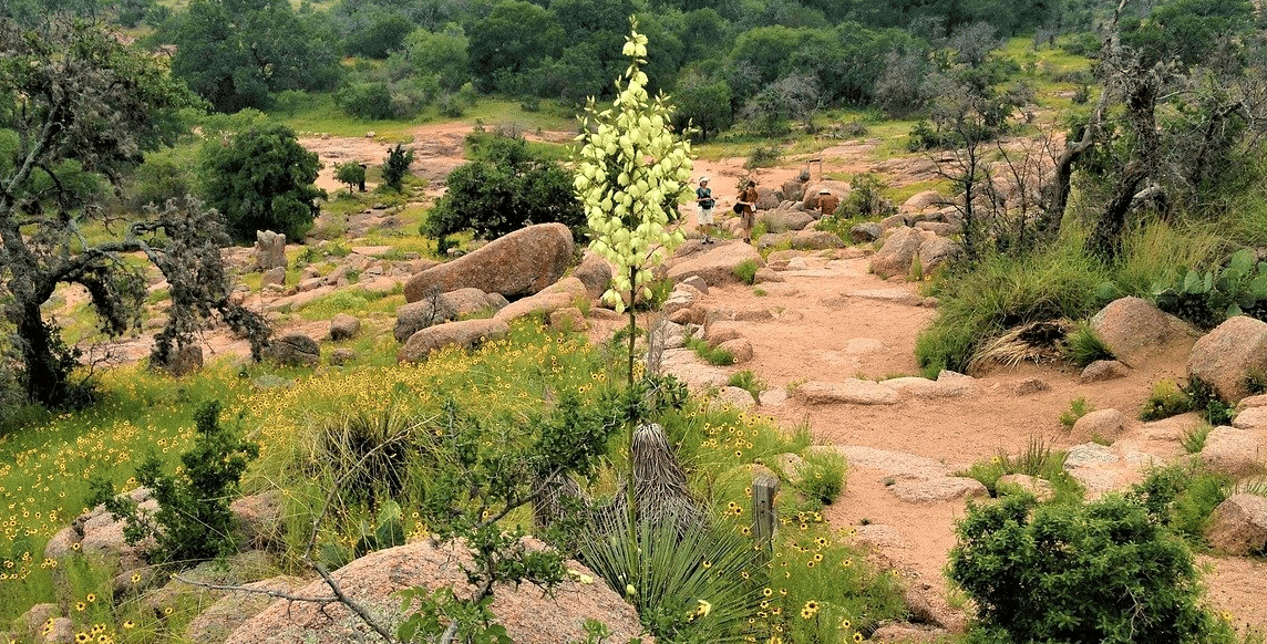 Hiking Trail in Austin